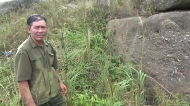 20 Kasım 2024, Haiduong, Vietnam. Bunlar tıptan anlayan adamlar. Onlar şifalı bitkiler.. 