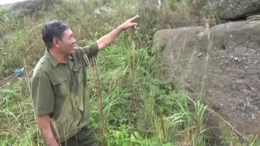 20 Kasım 2024, Haiduong, Vietnam. Bunlar tıptan anlayan adamlar. Onlar şifalı bitkiler.. 