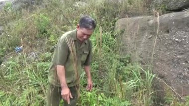 20 Kasım 2024, Haiduong, Vietnam. Bunlar tıptan anlayan adamlar. Onlar şifalı bitkiler.. 