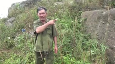 20 Kasım 2024, Haiduong, Vietnam. Bunlar tıptan anlayan adamlar. Onlar şifalı bitkiler.. 