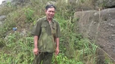 20 Kasım 2024, Haiduong, Vietnam. Bunlar tıptan anlayan adamlar. Onlar şifalı bitkiler.. 