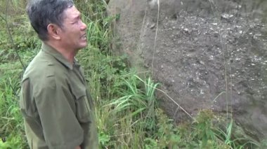 20 Kasım 2024, Haiduong, Vietnam. Bunlar tıptan anlayan adamlar. Onlar şifalı bitkiler.. 