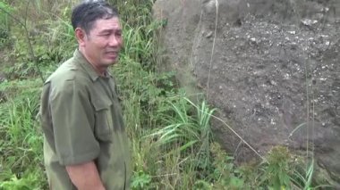 20 Kasım 2024, Haiduong, Vietnam. Bunlar tıptan anlayan adamlar. Onlar şifalı bitkiler.. 