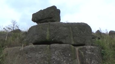 20 Kasım 2024, Haiduong, Vietnam. Bunlar tıptan anlayan adamlar. Onlar şifalı bitkiler.. 