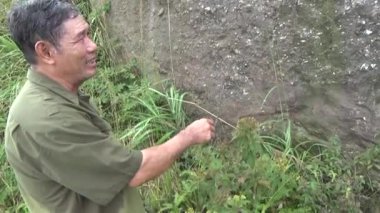 20 Kasım 2024, Haiduong, Vietnam. Bunlar tıptan anlayan adamlar. Onlar şifalı bitkiler.. 