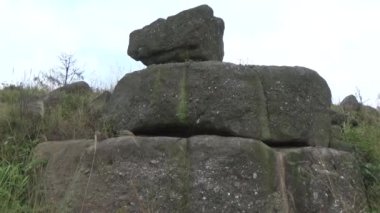 20 Kasım 2024, Haiduong, Vietnam. Bunlar tıptan anlayan adamlar. Onlar şifalı bitkiler.. 