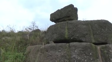20 Kasım 2024, Haiduong, Vietnam. Bunlar tıptan anlayan adamlar. Onlar şifalı bitkiler.. 