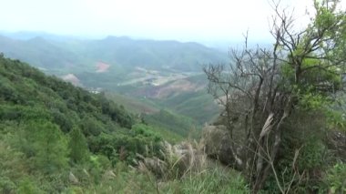 20 Kasım 2024, Haiduong, Vietnam. Bunlar tıptan anlayan adamlar. Onlar şifalı bitkiler.. 