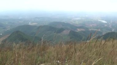 20 Kasım 2024, Haiduong, Vietnam. Bunlar tıptan anlayan adamlar. Onlar şifalı bitkiler.. 