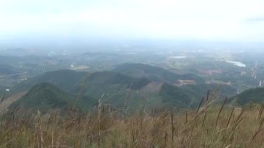 20 Kasım 2024, Haiduong, Vietnam. Bunlar tıptan anlayan adamlar. Onlar şifalı bitkiler.. 