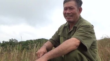 20 Kasım 2024, Haiduong, Vietnam. Bunlar tıptan anlayan adamlar. Onlar şifalı bitkiler.. 