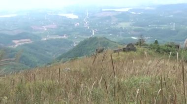 20 Kasım 2024, Haiduong, Vietnam. Bunlar tıptan anlayan adamlar. Onlar şifalı bitkiler.