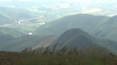 20 Kasım 2024, Haiduong, Vietnam. Bunlar tıptan anlayan adamlar. Onlar şifalı bitkiler.