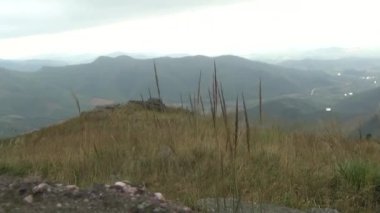 20 Kasım 2024, Haiduong, Vietnam. Bunlar tıptan anlayan adamlar. Onlar şifalı bitkiler.