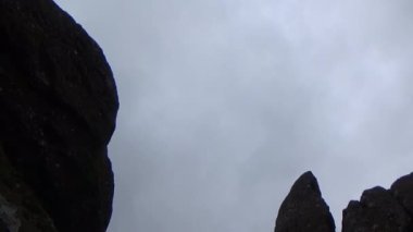 20 Kasım 2024, Haiduong, Vietnam. Bunlar tıptan anlayan adamlar. Onlar şifalı bitkiler.
