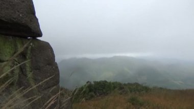 20 Kasım 2024, Haiduong, Vietnam. Bunlar tıptan anlayan adamlar. Onlar şifalı bitkiler.