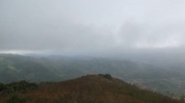 20 Kasım 2024, Haiduong, Vietnam. Bunlar tıptan anlayan adamlar. Onlar şifalı bitkiler.