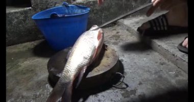 Balık çorbası yap.