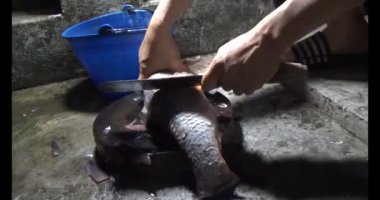 Balık çorbası yap.