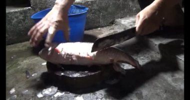 Balık çorbası yap.