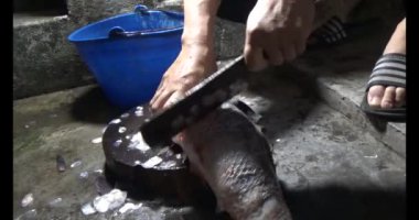 Balık çorbası yap.