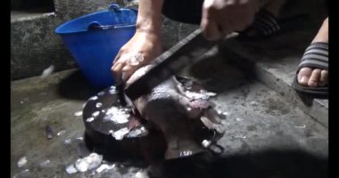 Balık çorbası yap.