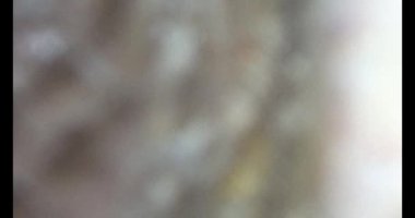 Balık çorbası pişir. Balığı temizle. Parçalara ayırmak için bıçak kullan. Yemek yaparken domates ve baharatlı kızartma ekleyin.