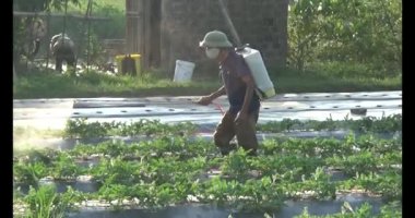 Çiftçilerin alanlarında çalışma