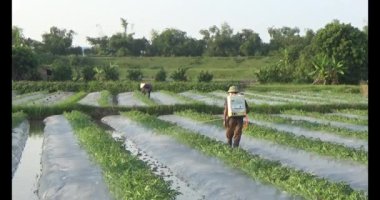 Çiftçilerin alanlarında çalışma