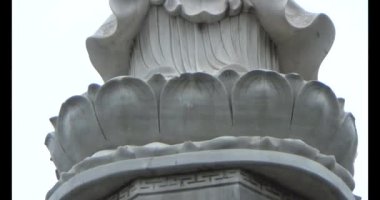 Şifalı bitkiler için dağa tırman.