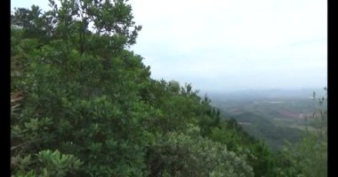 Şifalı bitkiler için dağa tırman.