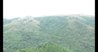 Şifalı bitkiler için dağa tırman.