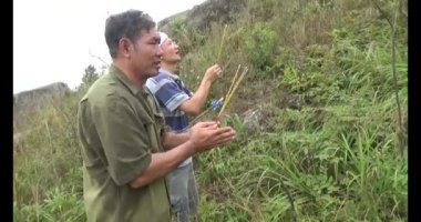 20 Kasım 2024, Haiduong, Vietnam. Bunlar tıptan anlayan adamlar. Onlar şifalı bitkiler.