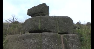 Şifalı bitkiler için dağa tırman.