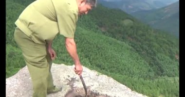 20 Kasım 2024, Haiduong, Vietnam. Bunlar tıptan anlayan adamlar. Onlar şifalı bitkiler..