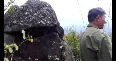 20 Kasım 2024, Haiduong, Vietnam. Bunlar tıptan anlayan adamlar. Onlar şifalı bitkiler..