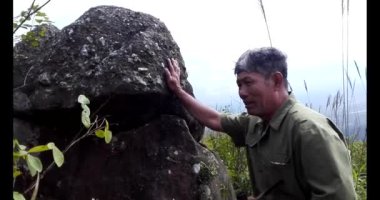 20 Kasım 2024, Haiduong, Vietnam. Bunlar tıptan anlayan adamlar. Onlar şifalı bitkiler..