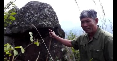 20 Kasım 2024, Haiduong, Vietnam. Bunlar tıptan anlayan adamlar. Onlar şifalı bitkiler..