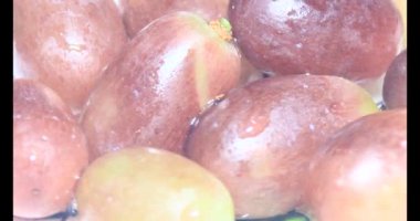 Tabakta üzüm var. Beyaz bir tabakta bir demet mor üzüm. Beyaz tabak dönüyor.