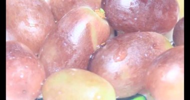 Tabakta üzüm var. Beyaz bir tabakta bir demet mor üzüm. Beyaz tabak dönüyor.