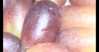 Tabakta üzüm var. Beyaz bir tabakta bir demet mor üzüm. Beyaz tabak dönüyor.