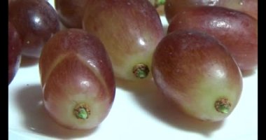 Tabakta üzüm var. Beyaz bir tabakta bir demet mor üzüm. Beyaz tabak dönüyor.