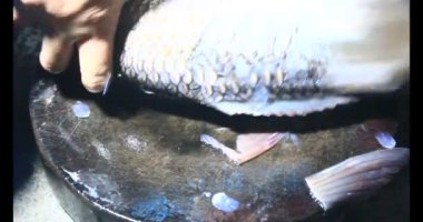 Balık çorbası pişir. Balığı temizle. Parçalara ayırmak için bıçak kullan. Yemek yaparken domates ve baharatlı kızartma ekleyin.