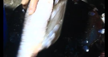 Balık çorbası pişir. Balığı temizle. Parçalara ayırmak için bıçak kullan. Yemek yaparken domates ve baharatlı kızartma ekleyin.