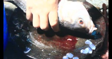 Balık çorbası pişir. Balığı temizle. Parçalara ayırmak için bıçak kullan. Yemek yaparken domates ve baharatlı kızartma ekleyin.