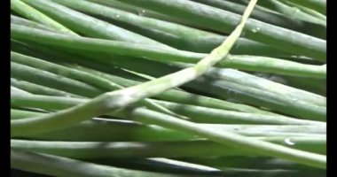 Soğanlar bambu sepetine konur. Bambu sepeti dönecek.