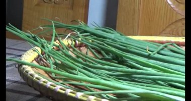 Soğanlar bambu sepetine konur. Bambu sepeti dönecek..