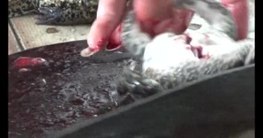 Pişirecek kurbağa eti 