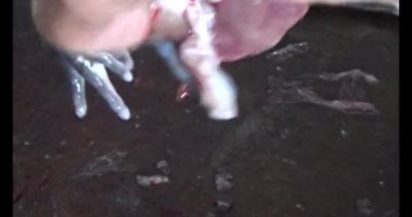 Pişirecek kurbağa eti 
