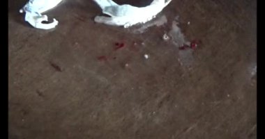 Pişirecek kurbağa eti 